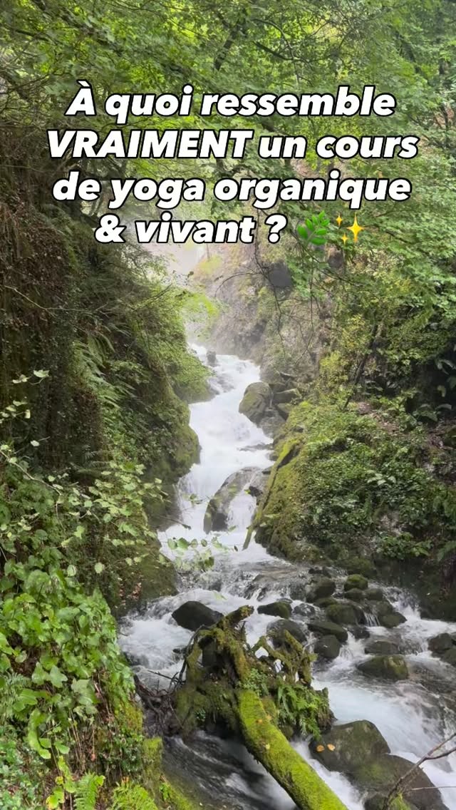 Un cours “vivant et organique”, ce n’est pas réciter un script parfait appris par cœur. C’est une manière d’aborder le mouvement qui remet la nature, le souffle et la réalité de l’instant T au centre.
Concrètement, dans mes cours, ça veut dire :
1️⃣ Une pratique rythmée par la nature & les saisons : On ne bouge pas de la même façon au cœur de l’hiver qu’au milieu de l’été. La pratique évolue pour accompagner le vivant et respecter le rythme naturel de ton corps. 
2️⃣ Du mouvement fluide, intuitif et connecté au souffle : Pas de postures figées à l’excès. Le mouvement reste souple, évolutif et porté par ta respiration. 
3️⃣ Une pratique qui s’adapte à tes besoins du moment : On dialogue avec l’énergie de la salle et ce que tu apportes sur le tapis aujourd’hui. L’objectif ? Une pratique saine, respectueuse et durable dans le temps.
Bref : pas de dogmes, pas de routine rigide. Juste un espace pour respirer, bouger et vivre le mouvement. 🌿🤍
👉 Tu as envie de tester cette façon de pratiquer ? Retrouve tous les créneaux des cours dans le lien de ma bio ! 🧘‍♀️
🎓 Tu es prof de yoga et tu veux apprendre à enseigner de manière plus intuitive et organique ? Avec @camille_milleetunyoga, on lance notre toute première immersion pour t’aider à déconstruire les cours rigides, sortir du “script par cœur” et apprendre à dialoguer avec ta salle en direct. 
➡️ Écris moi en MP ou clique sur le lien en bio pour recevoir toutes les infos ! 

#profdeyoga #yogaangers #yogavivant #angersyoga #yoganantes